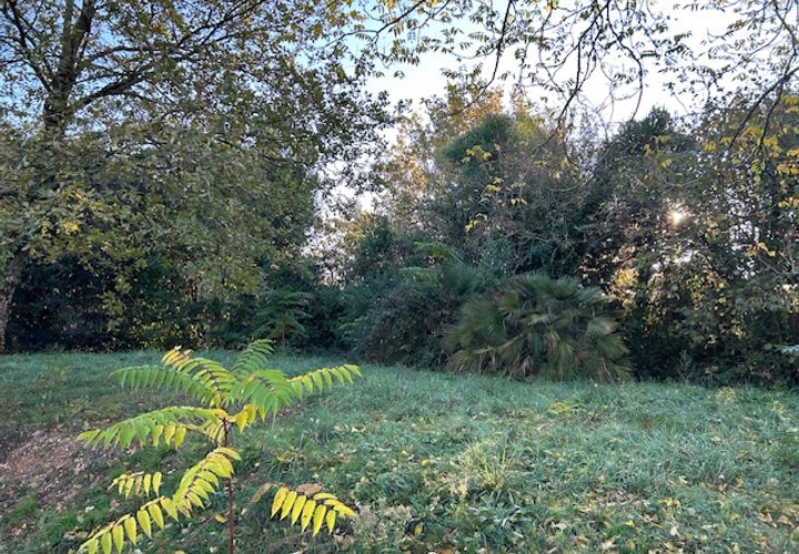 Helårsgrund i Léognan, Gironde, Léognan - € 194.900 | Ref: GM-LEOGNAN-602-2 - foto 1