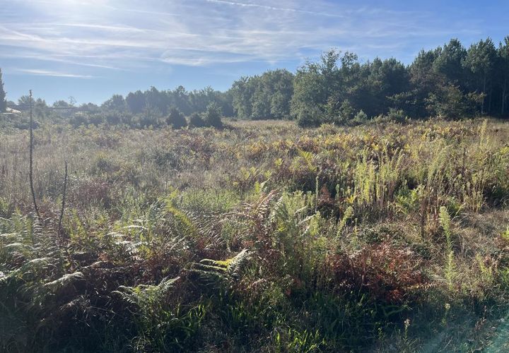 Helårsgrund i Arsac, Gironde, Arsac - € 267.500 | Ref: NN-ARSAC-2003-RR - foto 1