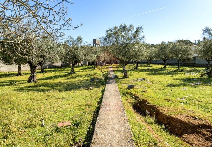 Terra a Minde, Santarem, Minde - € 98.000 | Ref: TOP2692 - foto 1