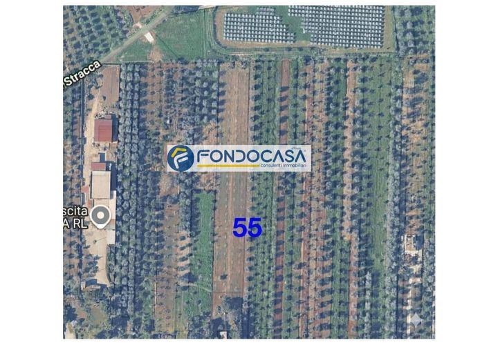 Terra a Collepasso, Lecce, Collepasso - € 30.000 | Ref: 208 - foto 1