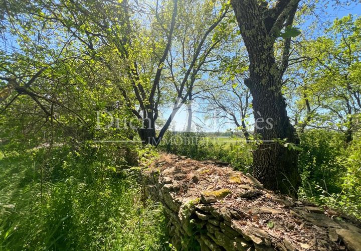 Terra a Uzes, Gard, Uzes - € 155.000 | Ref: 301229153 - foto 1