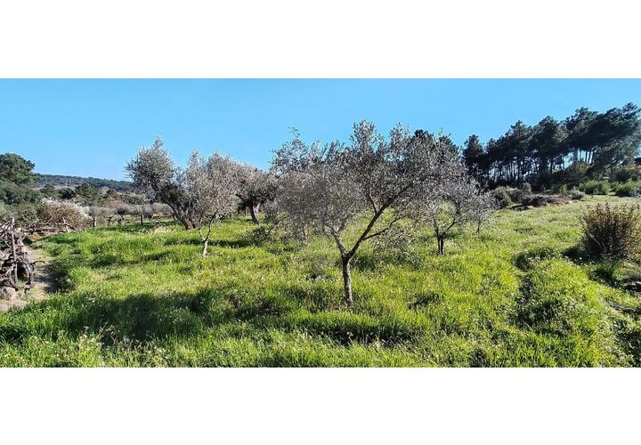 Grond in Valpacos, Vila Real, Valpacos - € 66.500 | Ref: 126381027-13 - foto 1