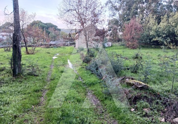 Helårsgrund i Mangualde, Viseu, Mangualde - € 225.000 | Ref: 1180647/26VS - foto 1