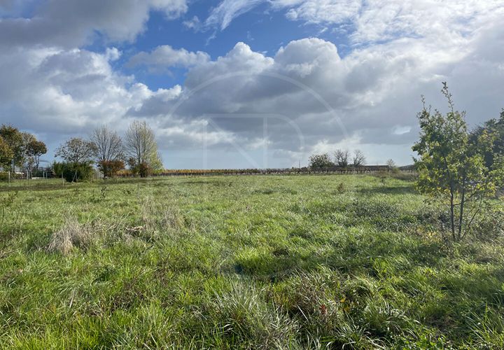 Terra a Velines, Dordogne, Velines - € 65.000 | Ref: 5231 - foto 1