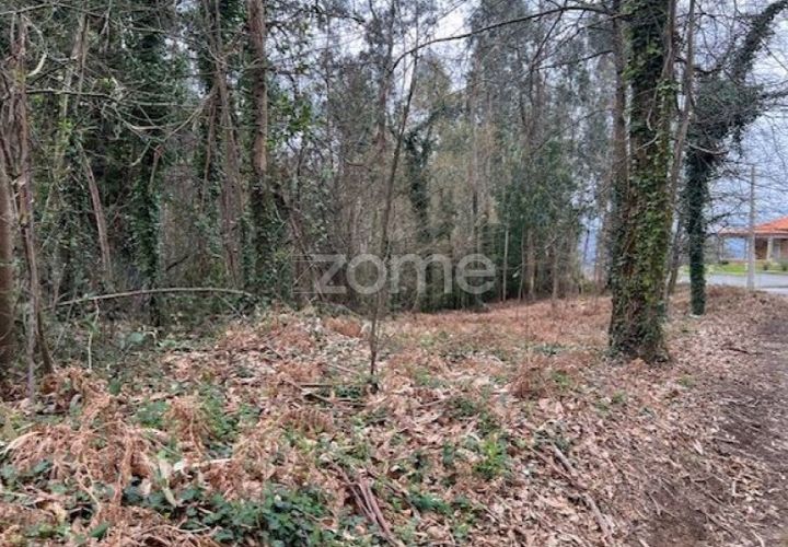 Helårsgrund i Ponte de Lima, Viana do Castelo, Ponte de Lima - € 250.000 | Ref: ZMPT587784 - foto 1