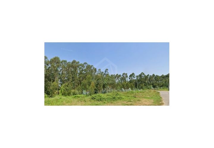 Terra a Angeja, Aveiro, Angeja - € 230.000 | Ref: 8124 - foto 1