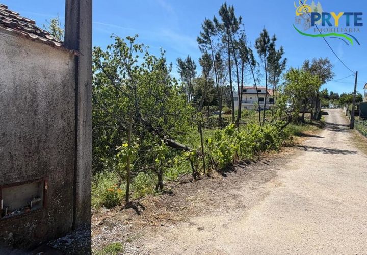 Helårsgrund i Castelo Branco, Castelo Branco, Castelo Branco - € 20.000 | Ref: MG171 - foto 1