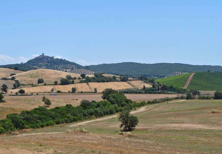 Farm hus i Capalbio, Grosseto, Capalbio - € 1.250.000 | Ref: A7631TA2272340A-1074348 - foto 1