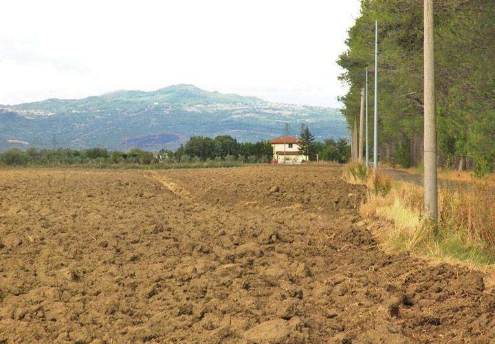 Terra a Grosseto, Grosseto, Grosseto - € 3.600.000 | Ref: A6380TA800359A-1074429 - foto 1
