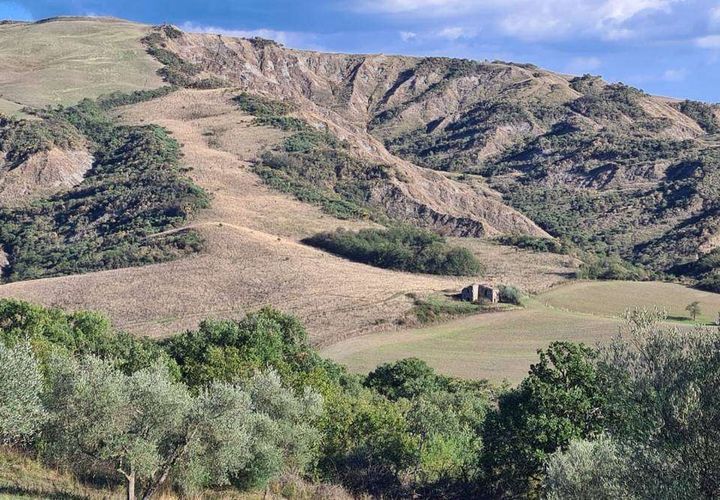 Farm hus i Radicofani, Siena, Radicofani - € 400.000 | Ref: A1190RC39959-1075022 - foto 1