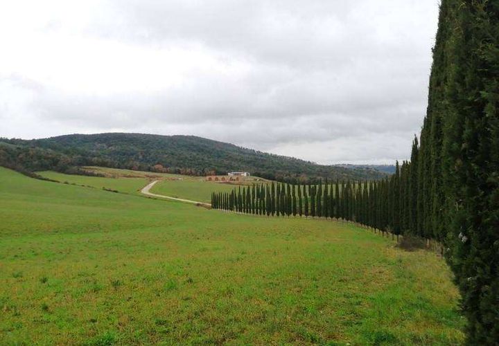 Terra a Murlo, Siena, Murlo - € 2.250.000 | Ref: A6380TA2178306A-1078557 - foto 1
