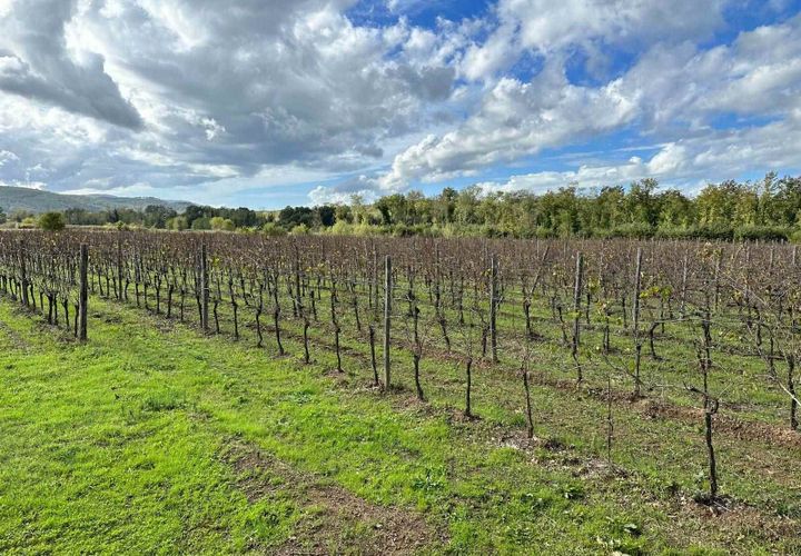 Farm hus i Grosseto, Grosseto, Grosseto - € 1.300.000 | Ref: A7631TA2268894A-1078758 - foto 1
