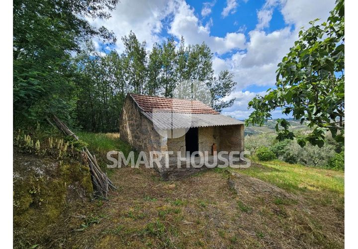 Farm i Tabua, Coimbra, Tabua - € 50.000 | Ref: SHEP323 - foto 1
