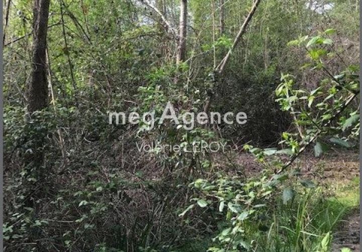 Terra a Aillas, Gironde, Aillas - € 34.000 | Ref: 202227 - foto 1