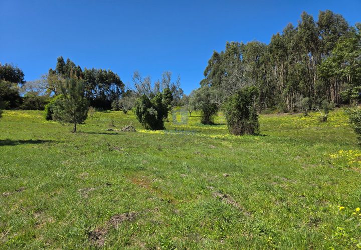 Helårsgrund i Cadaval, Lisbon, Cadaval - € 75.000 | Ref: CAL-217082 - foto 1