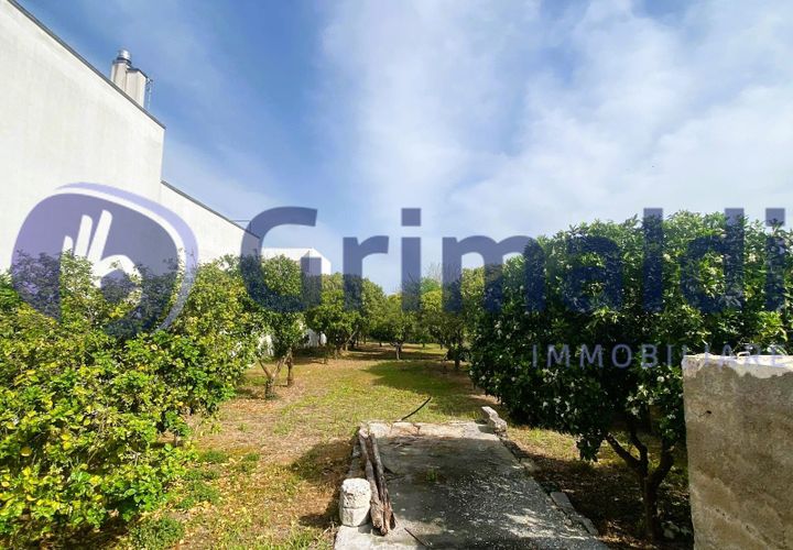 Erhvervsejendom i Scorrano, Lecce, Scorrano - € 70.000 | Ref: 70SCORRANO - foto 1