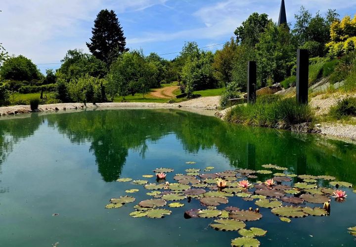 Villa a Saulieu, Cote-d'Or, Saulieu - € 499.000 | Ref: 4807 - foto 1