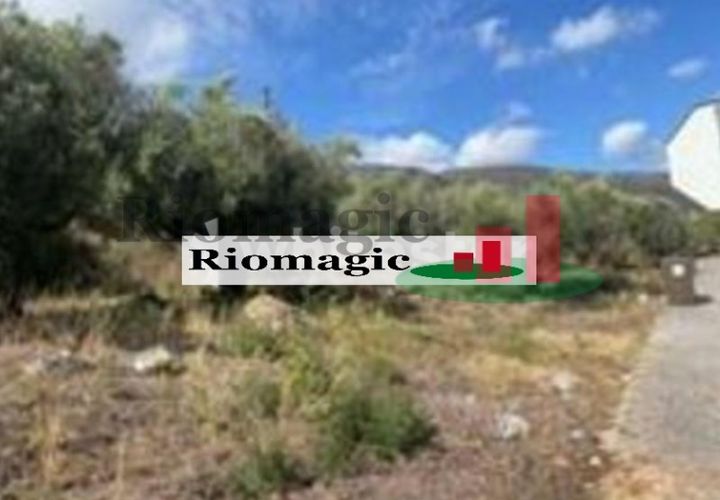 Tomt i Minde, Santarem, Minde - € 41 500 | Ref: 127.26 - foto 1