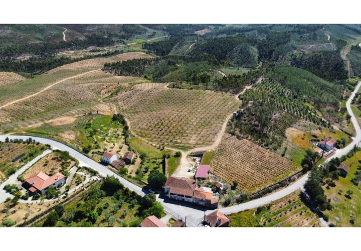 Farm i Macao, Santarem, Macao - € 330.000 | Ref: MAS_394 - foto 1