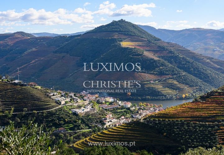 Villa a Sabrosa, Vila Real, Sabrosa - € 1.500.000 | Ref: LS05549 - foto 1