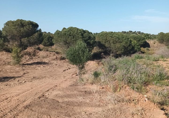 Terreno en Ayamonte, Huelva, Ayamonte - € 65.000 | Ref: RAC002291/10841 - photo 1