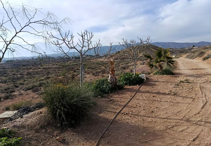 Cave house i Monovar, Alicante, Monovar - € 66.000 | Ref: P5336 - foto 1