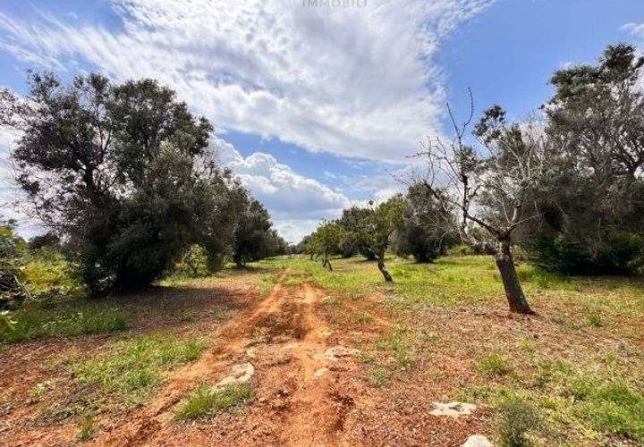 Helårsgrund i Carovigno, Brindisi, Carovigno - € 90.000 | Ref: TER5 - foto 1