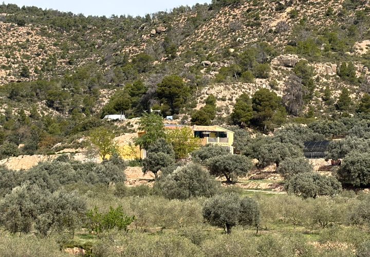 Landejendom i Flix, Tarragona, Flix - € 390.000 | Ref: Fli07 - foto 1