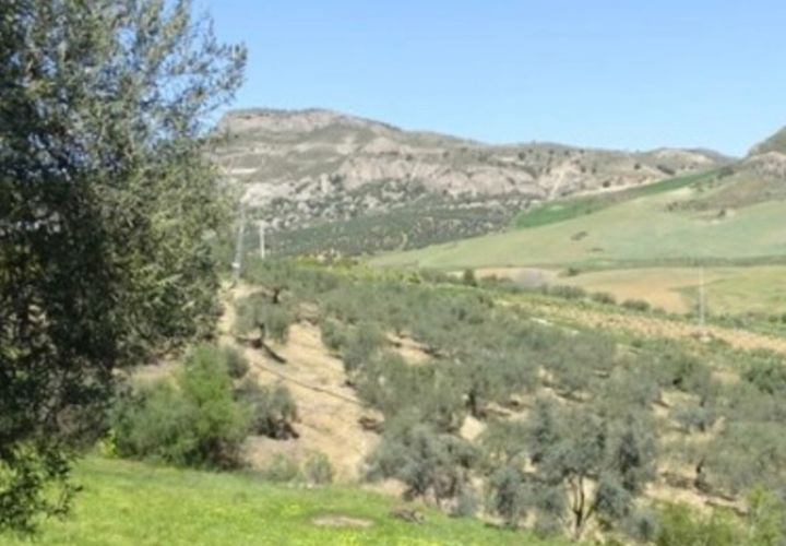 Finca i Coin, Malaga, Coin - € 160.000 | Ref: 7479 - foto 1