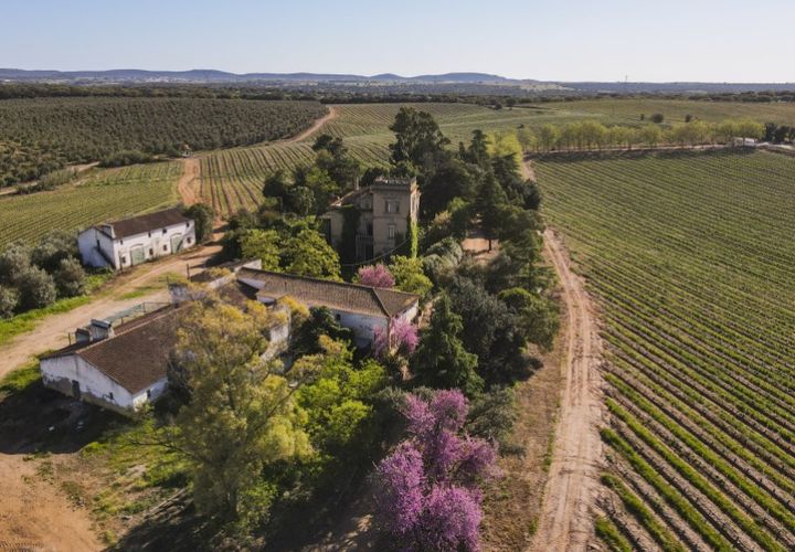 Farm i Sousel, Portalegre, Sousel - € 1.980.000 | Ref: CDB147 - foto 1