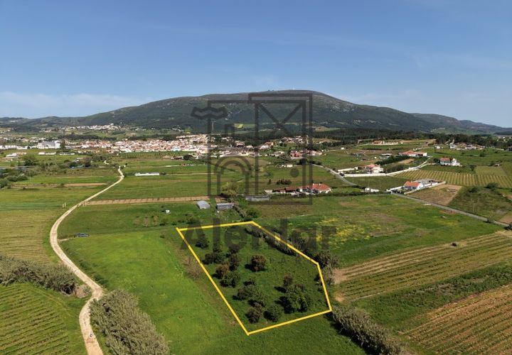 Terreno en Alenquer, Lisbon, Alenquer - € 29.000 | Ref: SÒL_182 - photo 1
