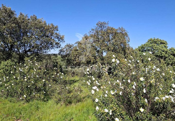 Terra a Alandroal, Evora, Alandroal - € 41.150 | Ref: 059837 - foto 1