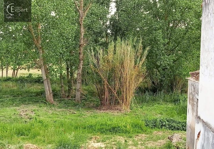 Farm hus i Torrao, Setubal, Torrao - € 250.000 | Ref: FIN_46 - foto 1