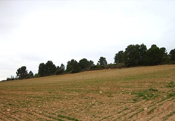 Terra a Zarra, Valencia, Zarra - € 34.000 | Ref: S-1494869 - foto 1
