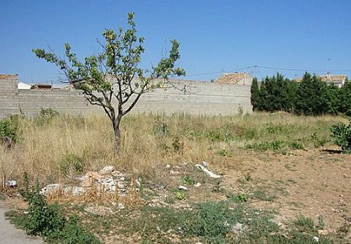 Terreno en Requena, Valencia, Requena - € 120.000 | Ref: S-1494884 - photo 1