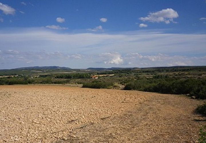 Helårsgrund i Almansa, Albacete, Almansa - € 20.000 | Ref: S-1494916 - foto 1