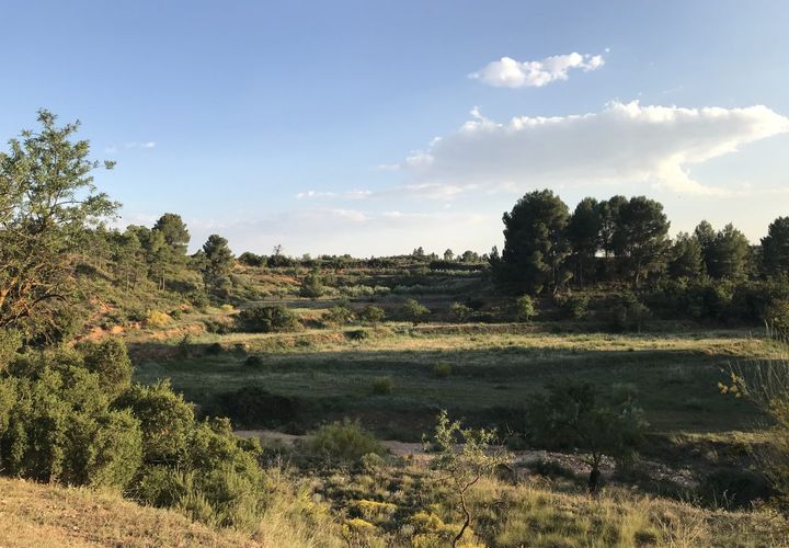 Helårsgrund i Ayora, Valencia, Ayora - € 29.000 | Ref: S-1536150 - foto 1
