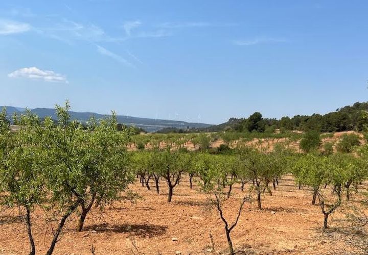 Finca i Ayora, Valencia, Ayora - € 800.000 | Ref: S-1551406 - foto 1