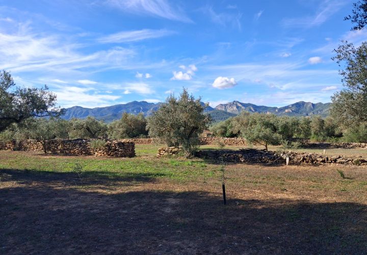 Grond in Rasquera, Tarragona, Rasquera - € 78.000 | Ref: EXP14061/8930 - foto 1