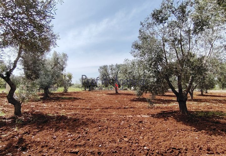Helårsgrund i Carovigno, Brindisi, Carovigno - € 25.000 | Ref: 121916 - foto 1