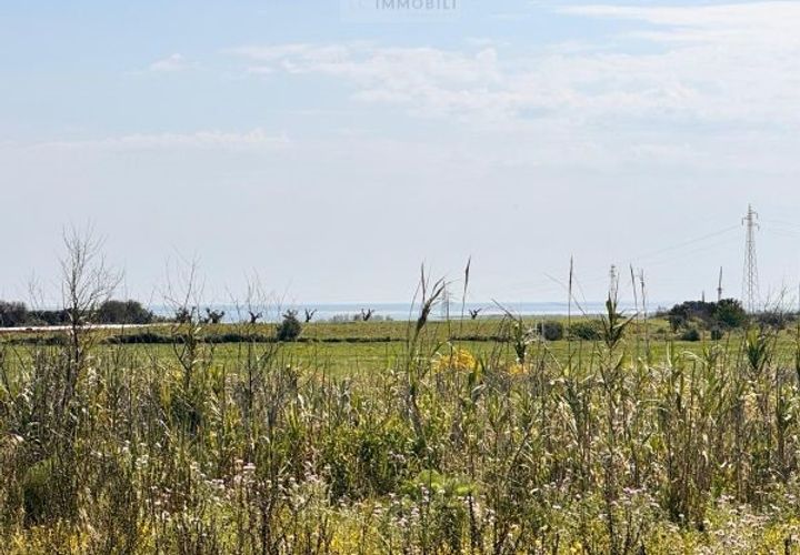 Tomt i Carovigno, Brindisi, Carovigno - € 65 000 | Ref: TEM4 - foto 1