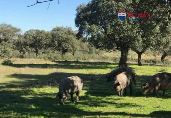 Terra a Badajoz, Badajoz, Badajoz - € 4.990.000 | Ref: BA-2026-011/12527 - foto 1