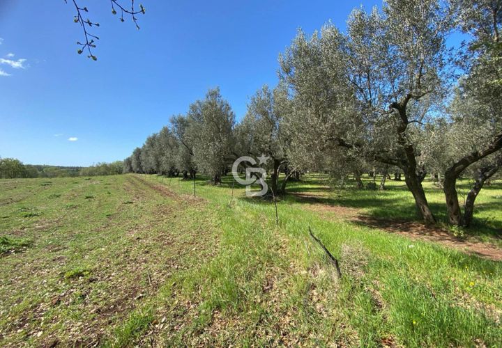 Terra a Vetralla, Viterbo, Vetralla - € 75.000 | Ref: CBI006-960-333082 - foto 1