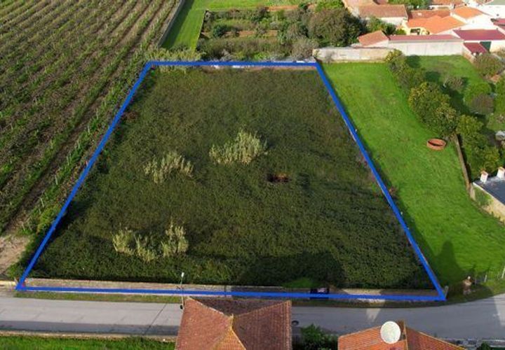 Grond in Anadia, Aveiro, Anadia - € 125.000 | Ref: T-30566 - foto 1