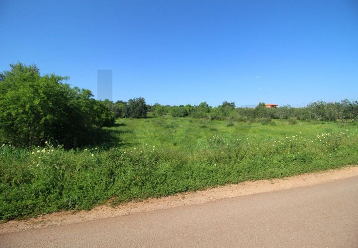 Helårsgrund i Algoz, Faro, Algoz - € 34.000 | Ref: KWPT-031114 - foto 1