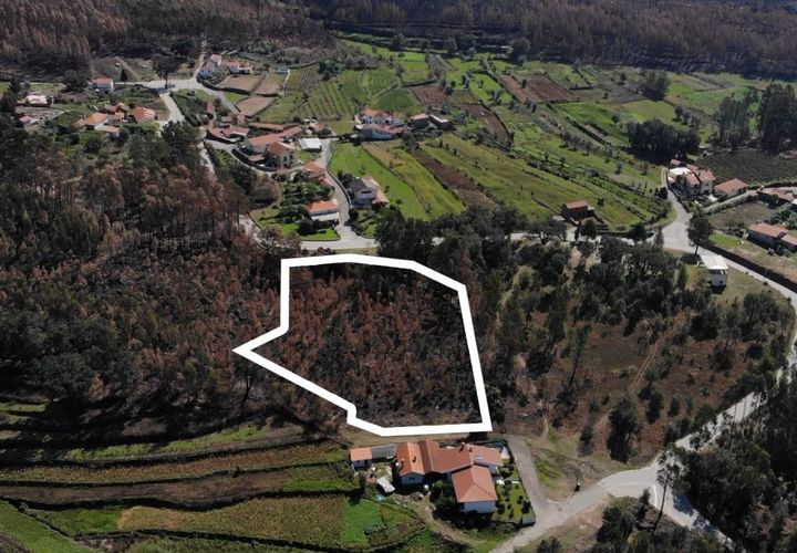 Terra a Sever do Vouga, Aveiro, Sever do Vouga - € 65.625 | Ref: T-30564 - foto 1