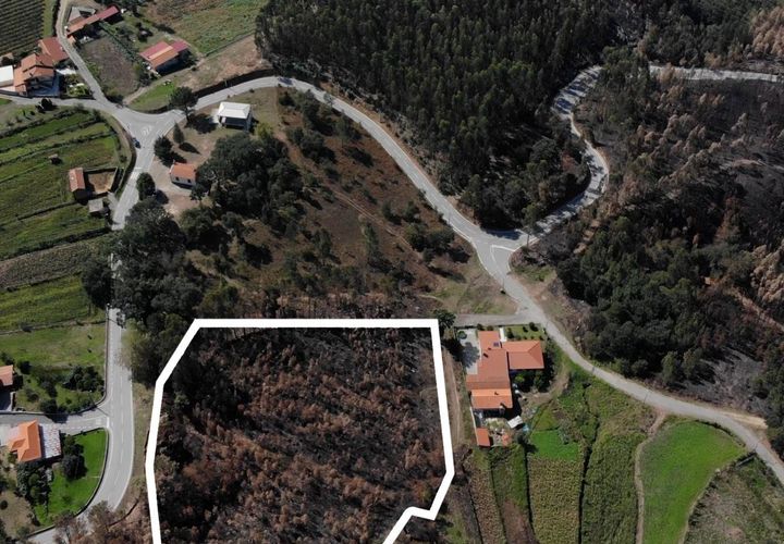 Terrain - Sever do Vouga, Aveiro, Sever do Vouga - € 65 625 | Réf : T-30564 - photo 1