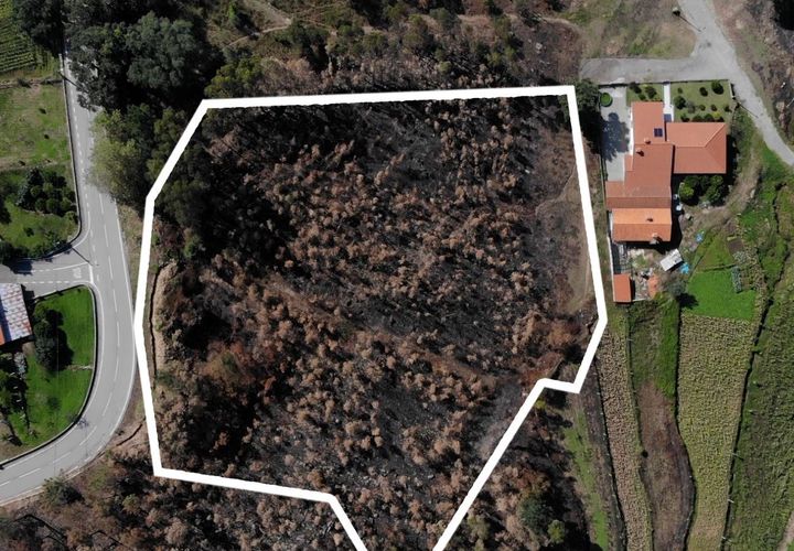 Tomt i Sever do Vouga, Aveiro, Sever do Vouga - € 65 625 | Ref: T-30564 - foto 1