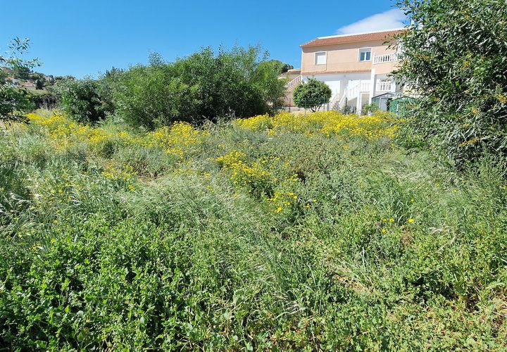 Tomt i Torrevieja, Alicante, Torrevieja - € 180 000 | Ref: SPS6637 - foto 1
