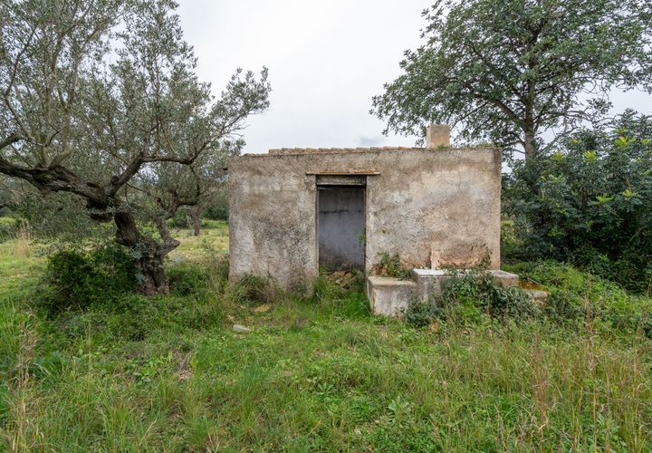 Finca i Roquetes, Tarragona, Roquetes - € 20.000 | Ref: 351 - foto 1